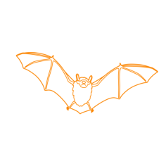 Animals Bats Outline Svg Vector, Free Vectors File